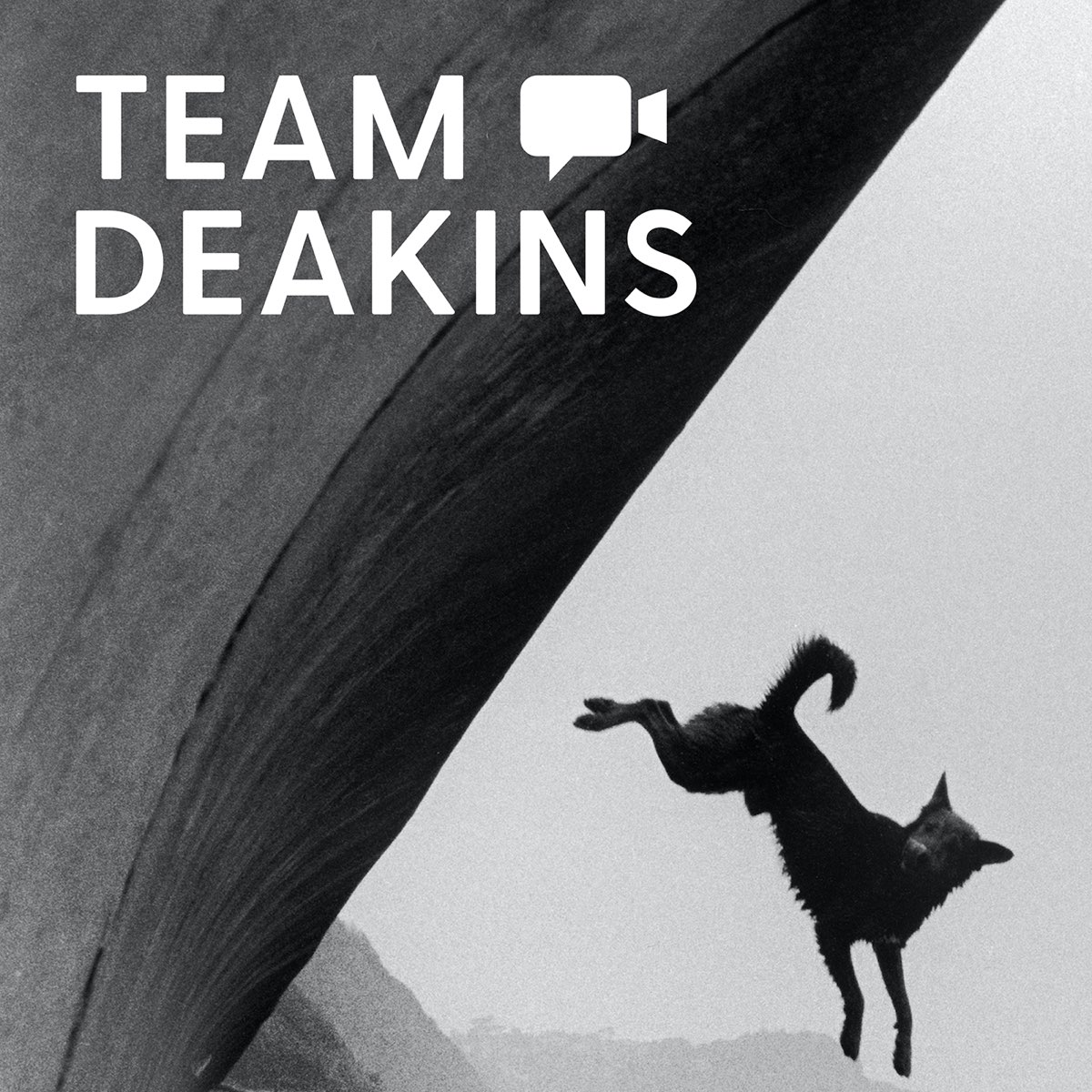 Team Deakins Podcast with Roger Deakins